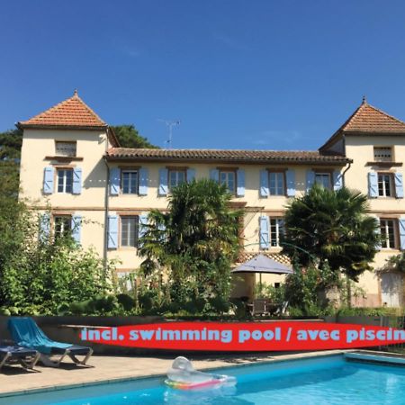 Domaine De Menerque - Petit Chateau Avec Piscine Lisle-sur-Tarn Екстер'єр фото