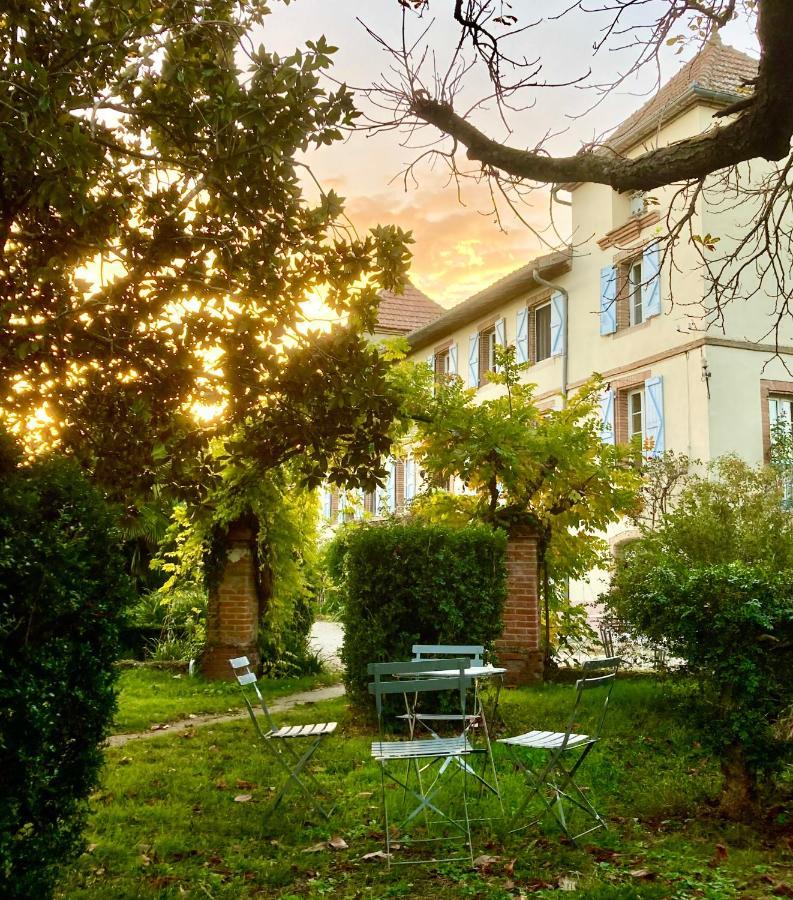 Domaine De Menerque - Petit Chateau Avec Piscine Lisle-sur-Tarn Екстер'єр фото