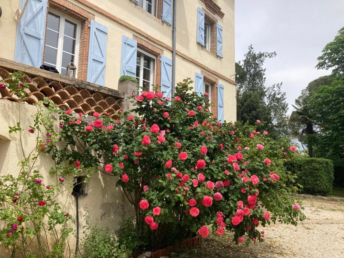 Domaine De Menerque - Petit Chateau Avec Piscine Lisle-sur-Tarn Екстер'єр фото