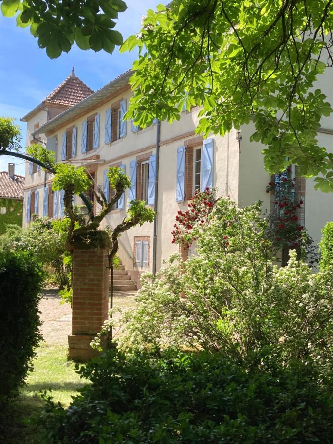 Domaine De Menerque - Petit Chateau Avec Piscine Lisle-sur-Tarn Екстер'єр фото