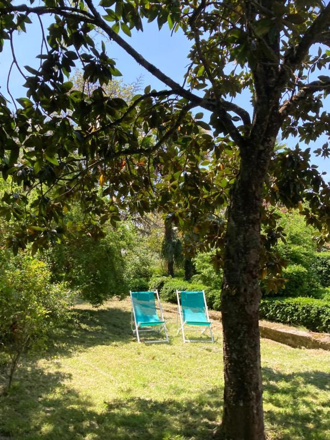 Domaine De Menerque - Petit Chateau Avec Piscine Lisle-sur-Tarn Екстер'єр фото