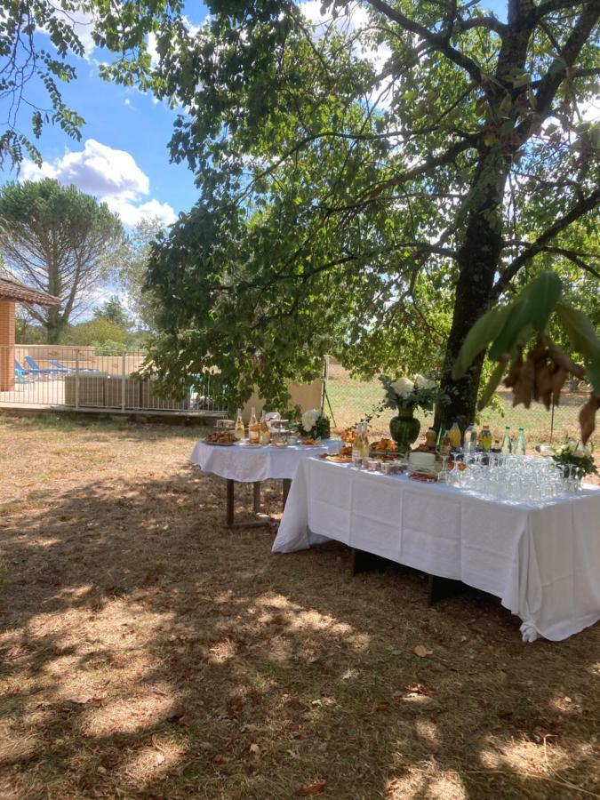 Domaine De Menerque - Petit Chateau Avec Piscine Lisle-sur-Tarn Екстер'єр фото