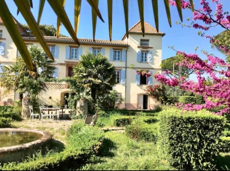 Domaine De Menerque - Petit Chateau Avec Piscine Lisle-sur-Tarn Екстер'єр фото