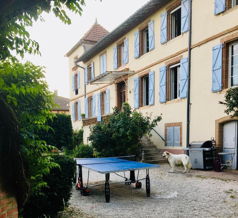 Domaine De Menerque - Petit Chateau Avec Piscine Lisle-sur-Tarn Екстер'єр фото