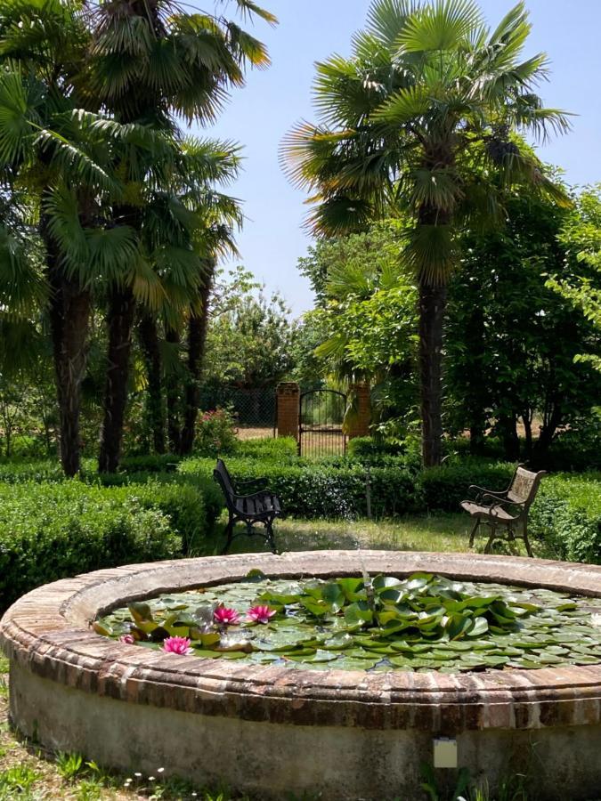 Domaine De Menerque - Petit Chateau Avec Piscine Lisle-sur-Tarn Екстер'єр фото